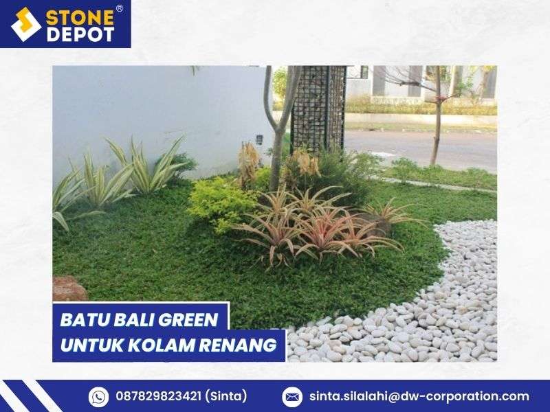 Batu Koral Sikat untuk Taman - 2