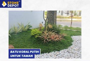 Batu Koral Sikat untuk Taman - 2