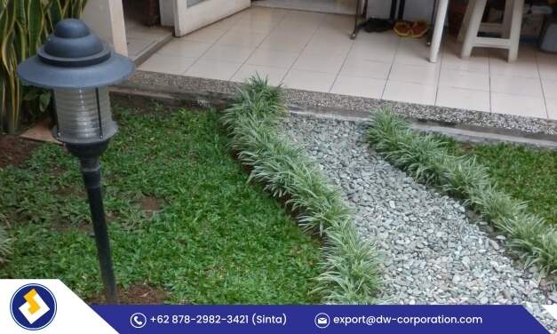 lantai-batu-alam-outdoor-untuk-teras-dan-halaman-jual-batu-alam-1