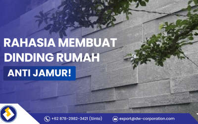 Dinding Rumah Bebas Jamur dengan Batu Alam