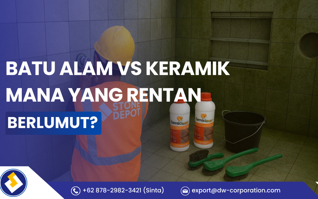 Batu Alam vs Keramik, Mana yang Lebih Rentan Berlumut?