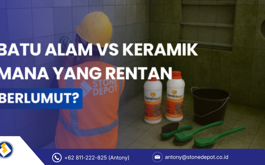 Batu Alam vs Keramik, Mana yang Lebih Rentan Berlumut?