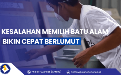 Batu Alam Cepat Berlumut? Ini Kesalahannya