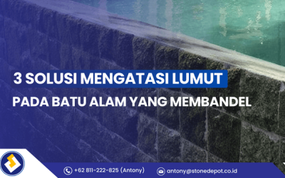  3 Solusi Mengatasi Lumut pada Batu Alam yang Membandel