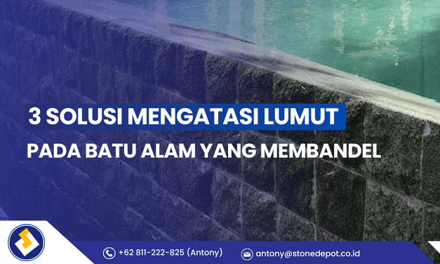 3-solusi-mengatasi-lumut-pada-batu-alam-1