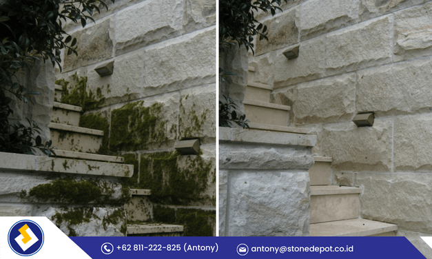 3-solusi-mengatasi-lumut-pada-batu-alam-4